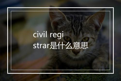 civil registrar是什么意思