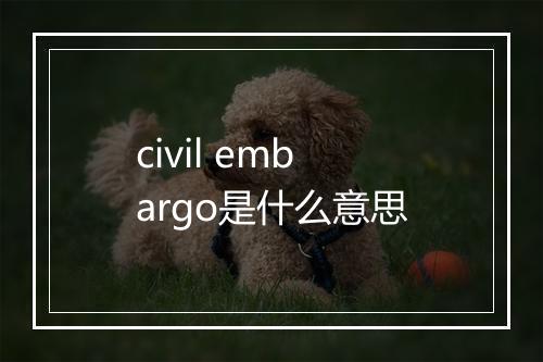 civil embargo是什么意思