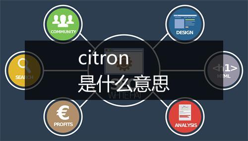 citron是什么意思