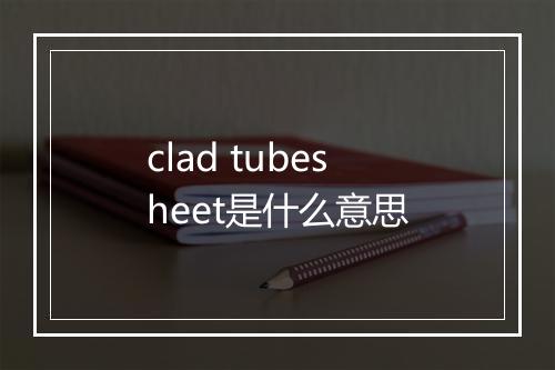 clad tubesheet是什么意思