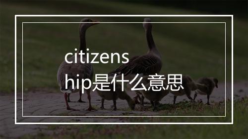 citizenship是什么意思