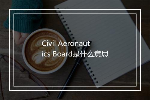 Civil Aeronautics Board是什么意思