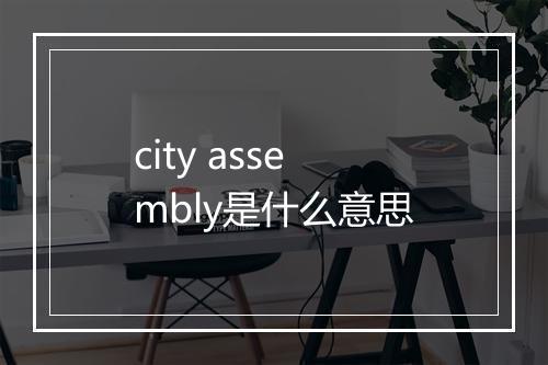 city assembly是什么意思