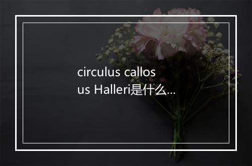 circulus callosus Halleri是什么意思