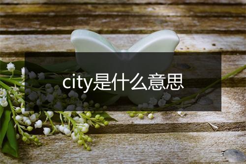 city是什么意思