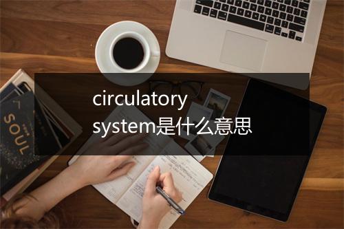 circulatory system是什么意思