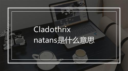 Cladothrix natans是什么意思