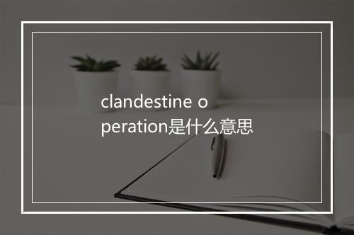 clandestine operation是什么意思