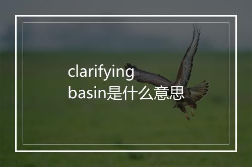 clarifying basin是什么意思