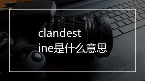 clandestine是什么意思