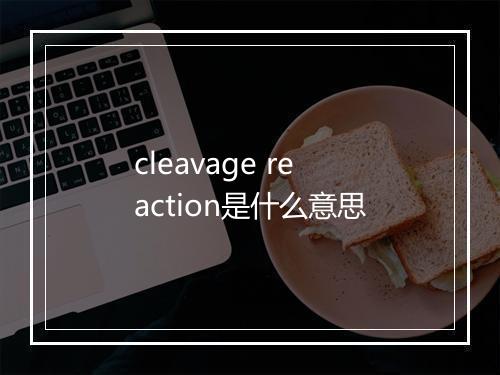 cleavage reaction是什么意思