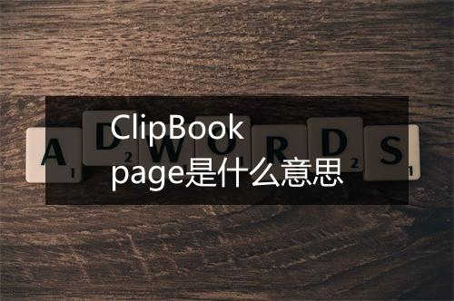 ClipBook page是什么意思