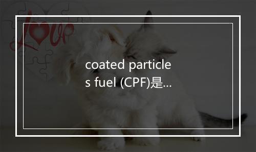 coated particles fuel (CPF)是什么意思