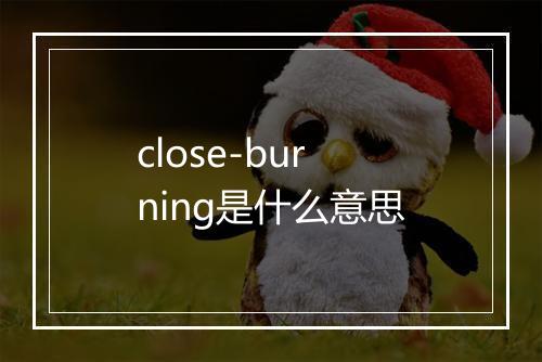 close-burning是什么意思