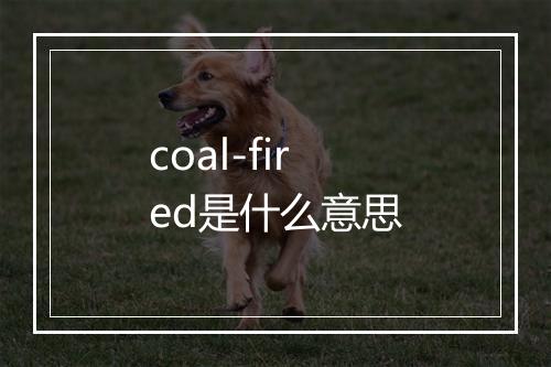 coal-fired是什么意思