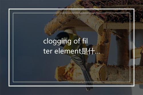 clogging of filter element是什么意思