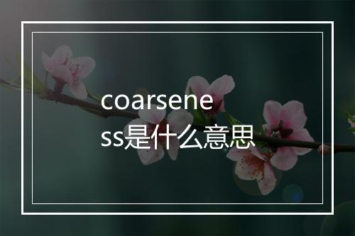 coarseness是什么意思