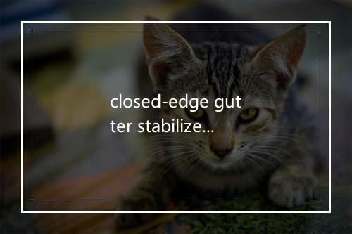 closed-edge gutter stabilizer是什么意思