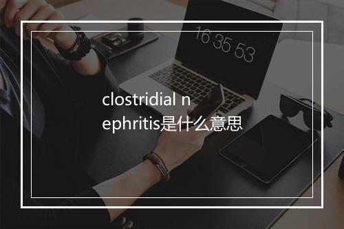 clostridial nephritis是什么意思