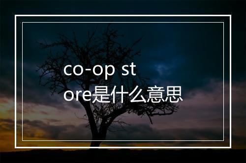 co-op store是什么意思