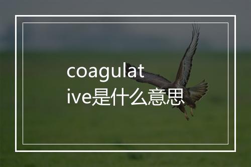 coagulative是什么意思