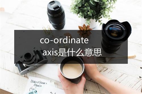 co-ordinate axis是什么意思