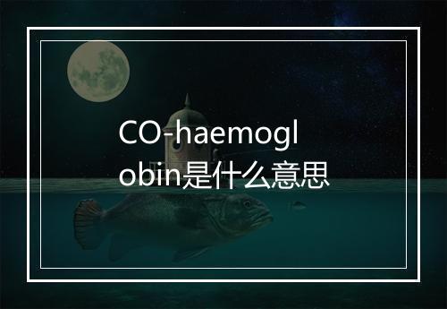 CO-haemoglobin是什么意思