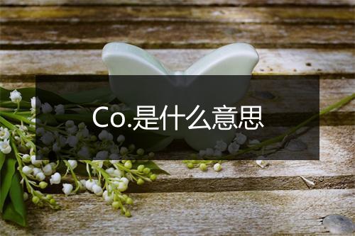 Co.是什么意思