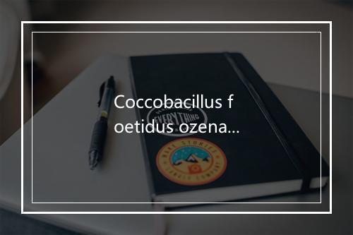 Coccobacillus foetidus ozenae是什么意思