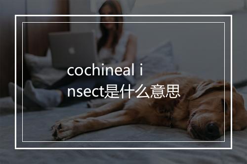 cochineal insect是什么意思