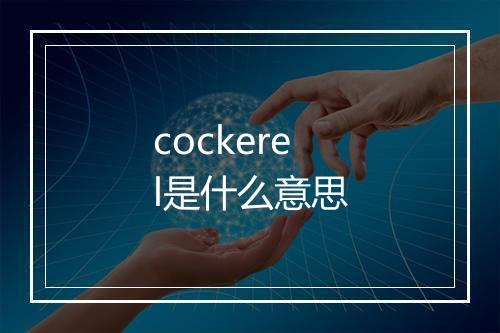 cockerel是什么意思