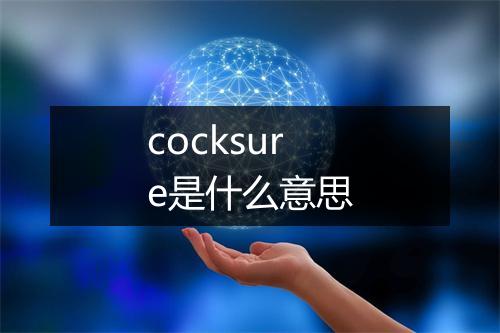 cocksure是什么意思