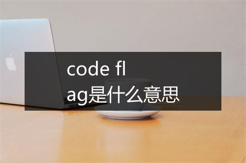 code flag是什么意思