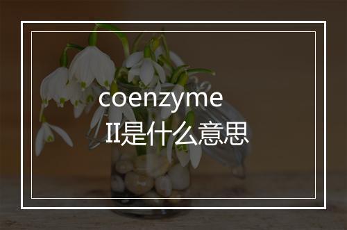 coenzyme II是什么意思