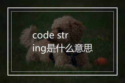 code string是什么意思