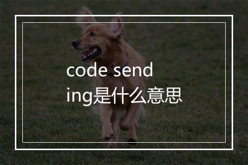 code sending是什么意思