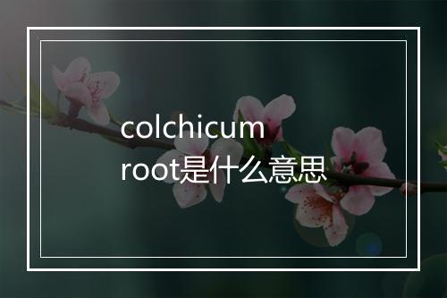 colchicum root是什么意思