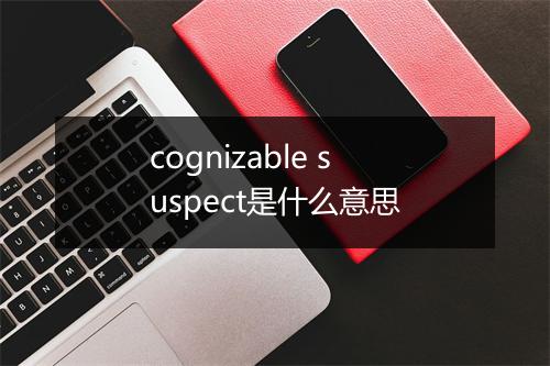 cognizable suspect是什么意思