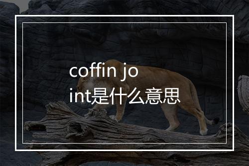 coffin joint是什么意思