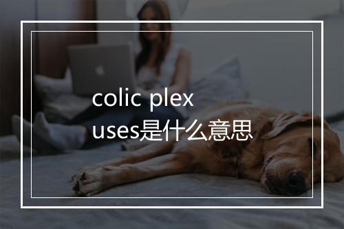 colic plexuses是什么意思