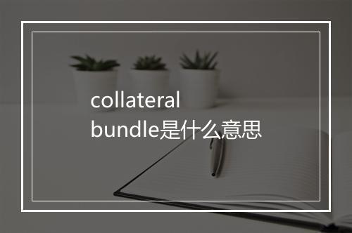 collateral bundle是什么意思