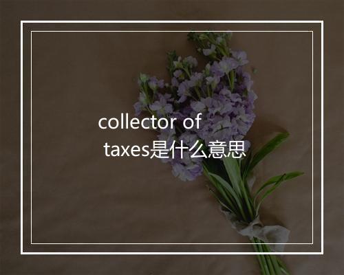 collector of taxes是什么意思