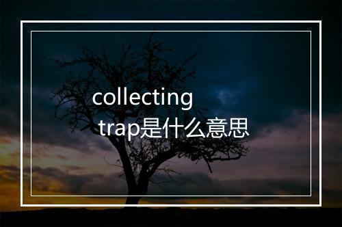 collecting trap是什么意思