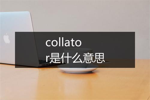 collator是什么意思