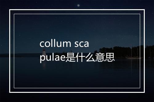 collum scapulae是什么意思