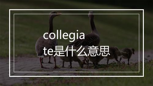 collegiate是什么意思