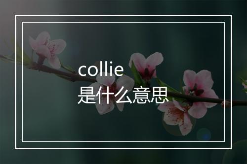 collie是什么意思