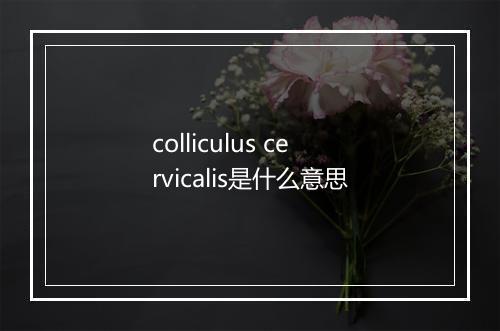 colliculus cervicalis是什么意思