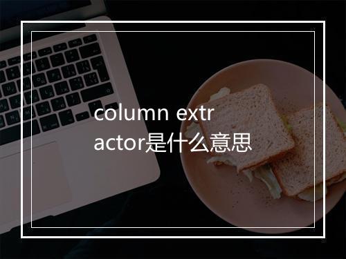 column extractor是什么意思