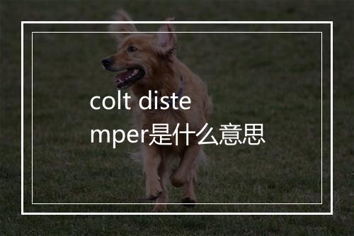 colt distemper是什么意思